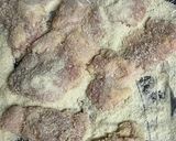 簡単！鳥肩肉のチキンカツ作り方4写真