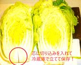 白菜の簡単お浸し❤️酒進む和風さっぱり味作り方1写真
