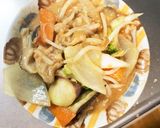 レンジもやし入きな粉デミソース味甘酢酢豚作り方14写真