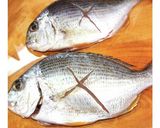 魚の煮付け釣ったイボダイ？煮付け作り方1写真