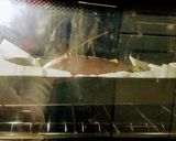 ローストチキン。丸鶏作り方7写真