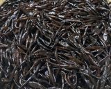 簡単に作る、おからの炊いたん♪作り方2写真