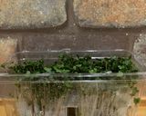 ブロッコリースプラウトのベーコン巻き作り方1写真