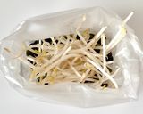 防災レシピ🍲ワカメともやしの中華スープ作り方3写真