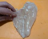 鶏むね肉（塩麹）と野菜のかんたん炒め作り方23写真
