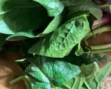 簡単　ほうれん草シーチキンパスタ作り方3写真