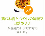 鶏むね肉ともやしの味噌マヨ炒め♪♪作り方11写真