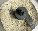 オートミールとデーツのクッキー作り方2写真