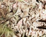 10分で豚丼作り方3写真
