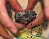超簡単！冬レシピ 白菜のみぞれ鍋作り方9写真