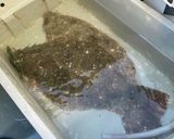ヒラメの生ハム作り方1写真