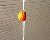 干し柿作り方6写真