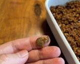 賞味期限切れ金山寺の素★復活記★前編作り方8写真