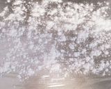 無駄なく薄く片栗粉/小麦粉をまぶす方法作り方2写真