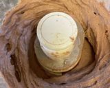 鶏レバーペースト★パテ　パーティーにも作り方7写真