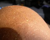たかきび食パン作り方10写真