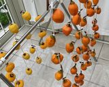 初めての干し柿作り方6写真