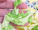 干し白菜と白菜パウダー【食品乾燥機】作り方4写真