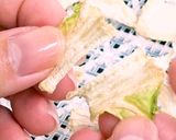 干し白菜と白菜パウダー【食品乾燥機】作り方6写真