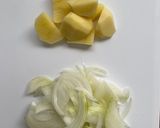 スピルリナ入りほうれん草の発酵スープ作り方1写真