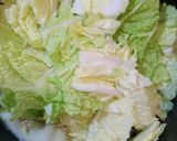 簡単！激ウマ！生姜たっぷり♪豚バラ白菜鍋作り方3写真