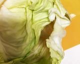 鶏ミンチでロールキャベツ作り方3写真