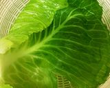 鶏ミンチでロールキャベツ作り方6写真