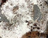 ブラウンマッシュルームのクリームパスタ作り方4写真