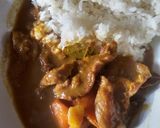 牛スジ500G、圧力30分、カレー粉複数作り方7写真