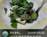 バジルと豆腐のサラダ作り方5写真