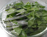 【野菜ソムリエ】ほうれん草のめんつゆマヨ作り方2写真