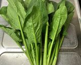 水菜保存〜使うまで(洗い方),作り方16写真