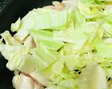 鶏肉とキャベツのシンプル野菜炒め作り方2写真