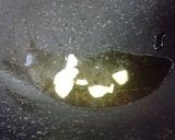 豚まんみたいなじゃがいもち作り方5写真