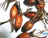 くちなしの実で サフランライス風ご飯作り方1写真