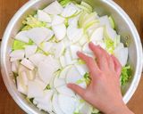ザクザク刻んで作る！白菜と大根のキムチ作り方17写真