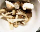 肉無きな粉ポン酢ソース照焼味白菜回鍋肉風作り方5写真