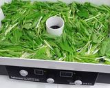 乾燥水菜と水菜パウダーの作り方作り方2写真