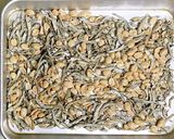 レンジで簡単◎カリカリ小魚おやつ作り方1写真