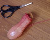 【昆虫食】蜂の子入りウツボカズラ飯作り方1写真