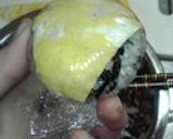 かわいい♥ひじきの変わりおにぎり作り方4写真