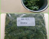 オカワカメの保存方法作り方5写真