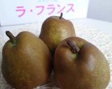 ラフランスのパンナコッタ作り方1写真