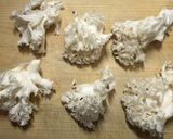 ハナビラタケのおつまみフライ作り方1写真