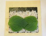 韓国海苔巻き キンパ！ 김밥作り方12写真