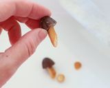 簡単！クリスマスケーキ作り方5写真