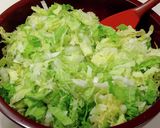 とっても便利！万能塩もみ白菜作り方1写真