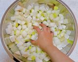 カクテキ(大根の角切りキムチ)作り方9写真