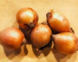子供も食べられる簡単玉ねぎスープ作り方1写真