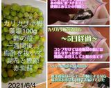 2022年 うめ仕事記録作り方6写真